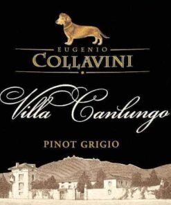 Pinot Grigio 'Villa Canlungo', Collavini (37.5 cl)