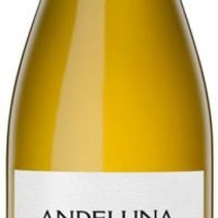 Andeluna '1300' Chardonnay, Uco Valley