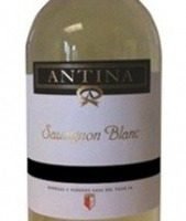 Antina Sauvignon Blanc, Tierra de Castilla